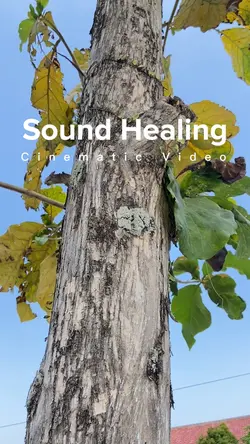 Cinematic Healing