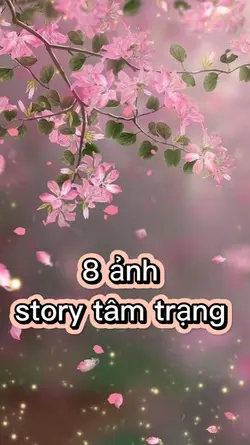 8 ảnh story 