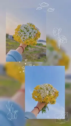 STORY 2 ẢNH