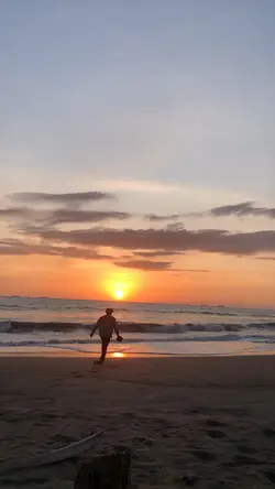 Story wa
