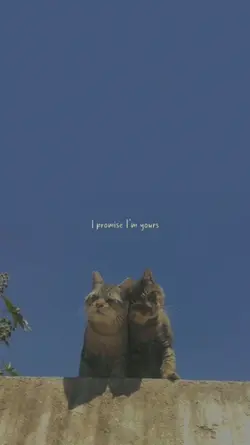 I promise l'm yours