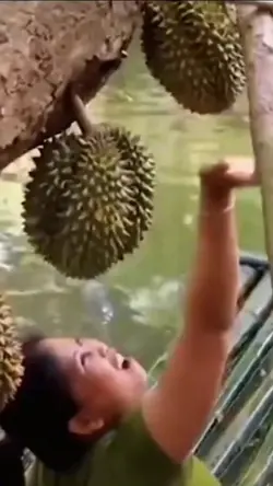 durian meme