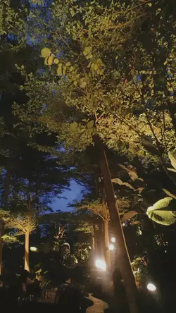 Jarak Memisahkan