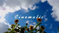 Estetik Video