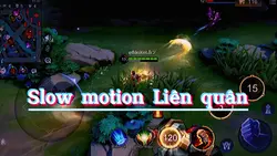 Show highlight Lq