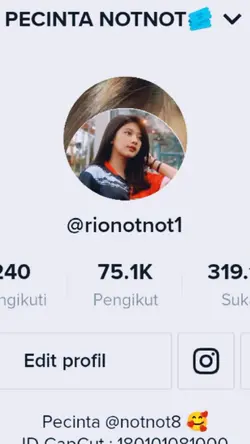 Trend TikTok Profil
