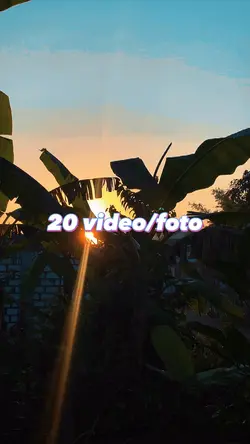 20 foto/Video trend