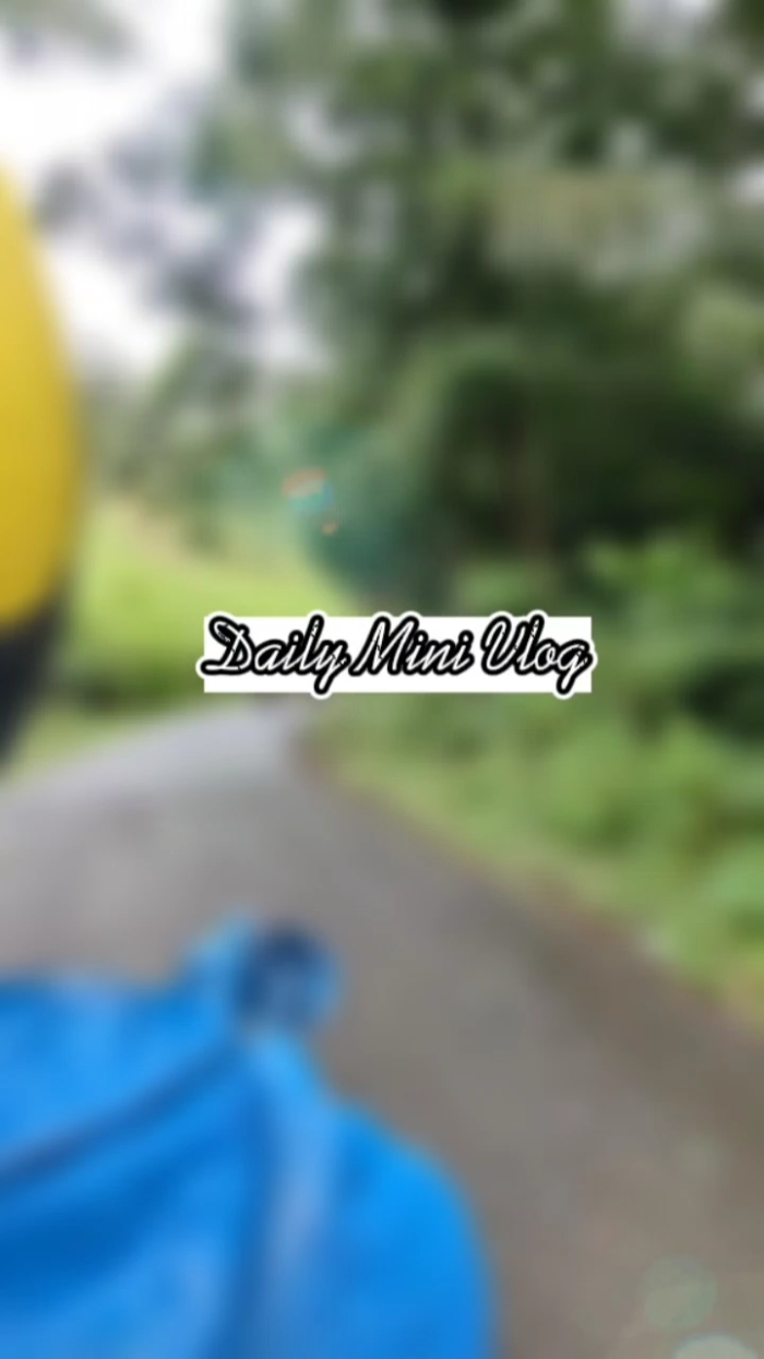 Mini Vlog