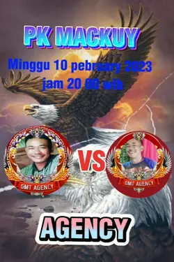 PK mackuy terbaru