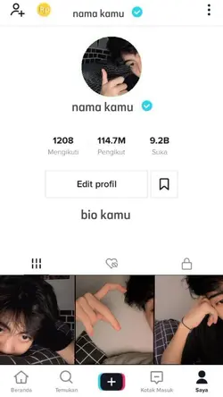 Prank Akun Tiktok
