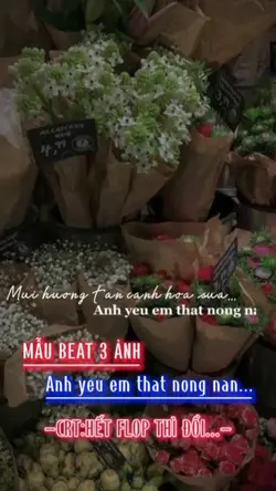 Mẫu beat 3 ảnh