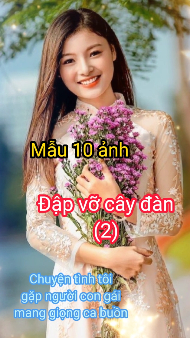 10 ảnh nhạc bolero