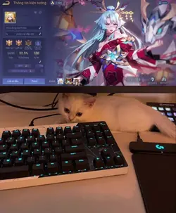 mẫu pc