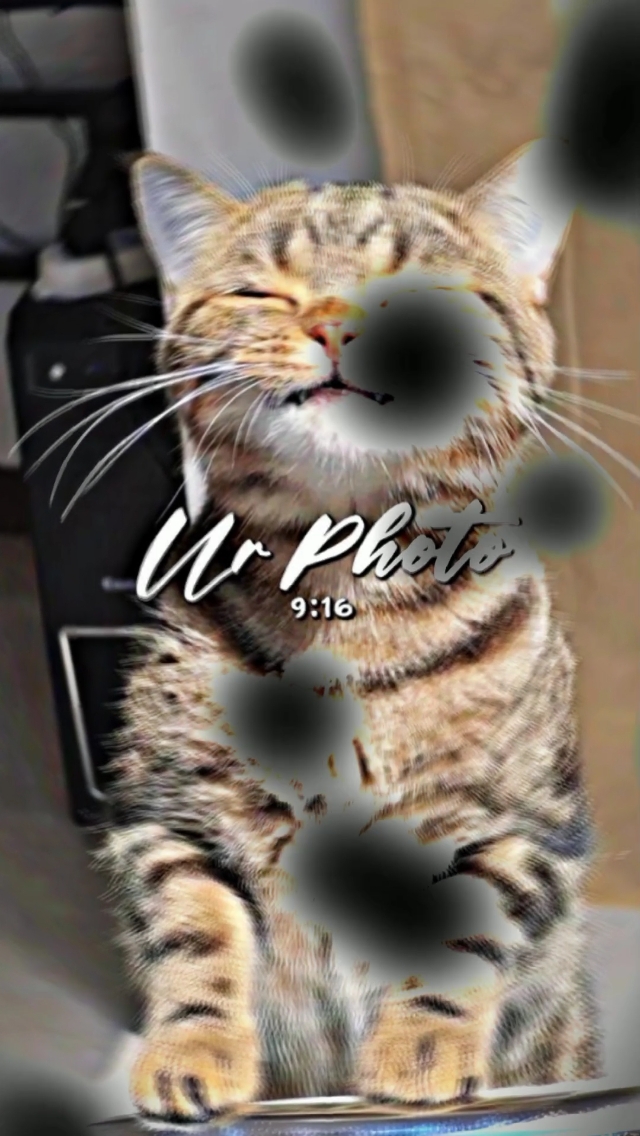 Dj descobre x pokémon