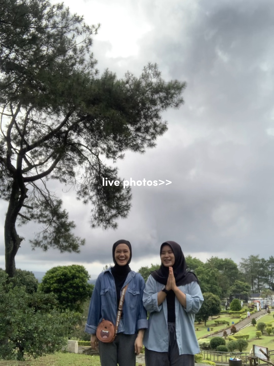 live photos