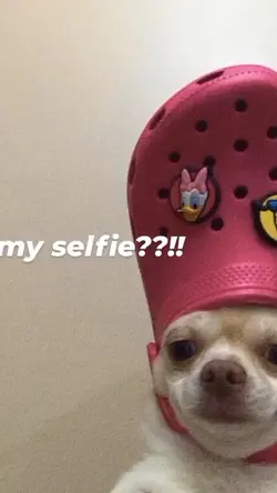 my selfie