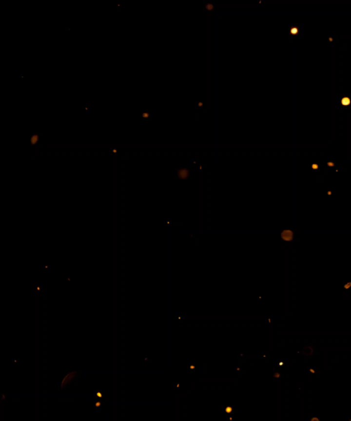 ဝၢၼ်ႈၼွၵ်ႈဢွၼ်ႇ