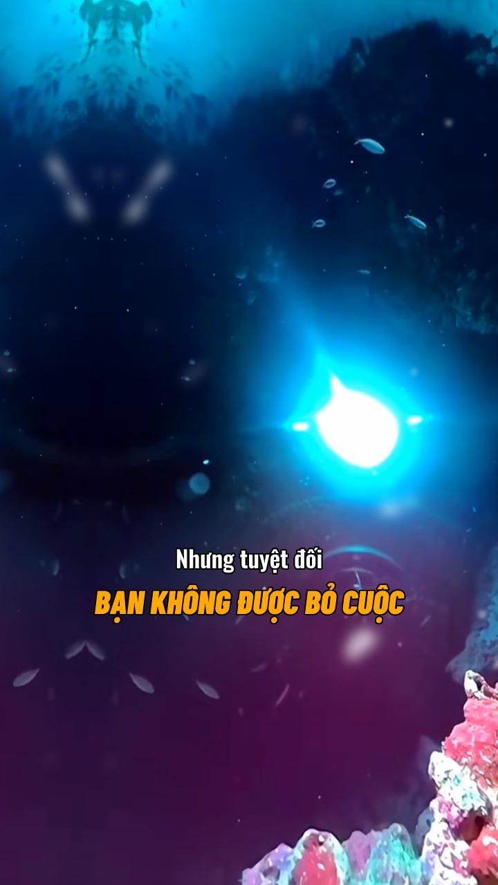 Không porque