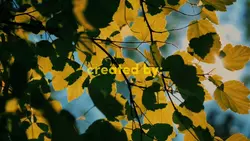 preset filter 16:9