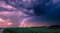 dance the night away