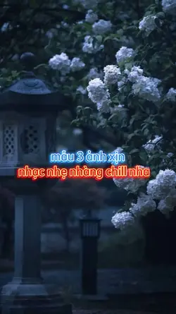 mẫu 3 ảnh