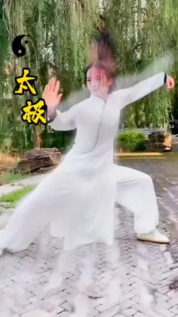 kungfu part 16