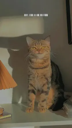 She doesnt mind