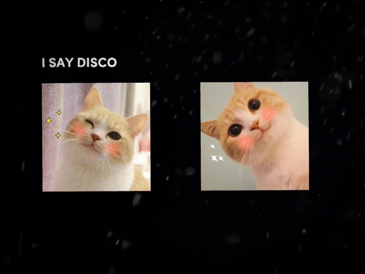 Eu digo Disco, você diz 