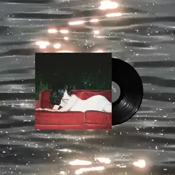 vinyl w/ lyrics