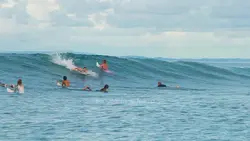 surf / opening video