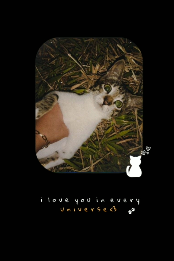 Süßer
