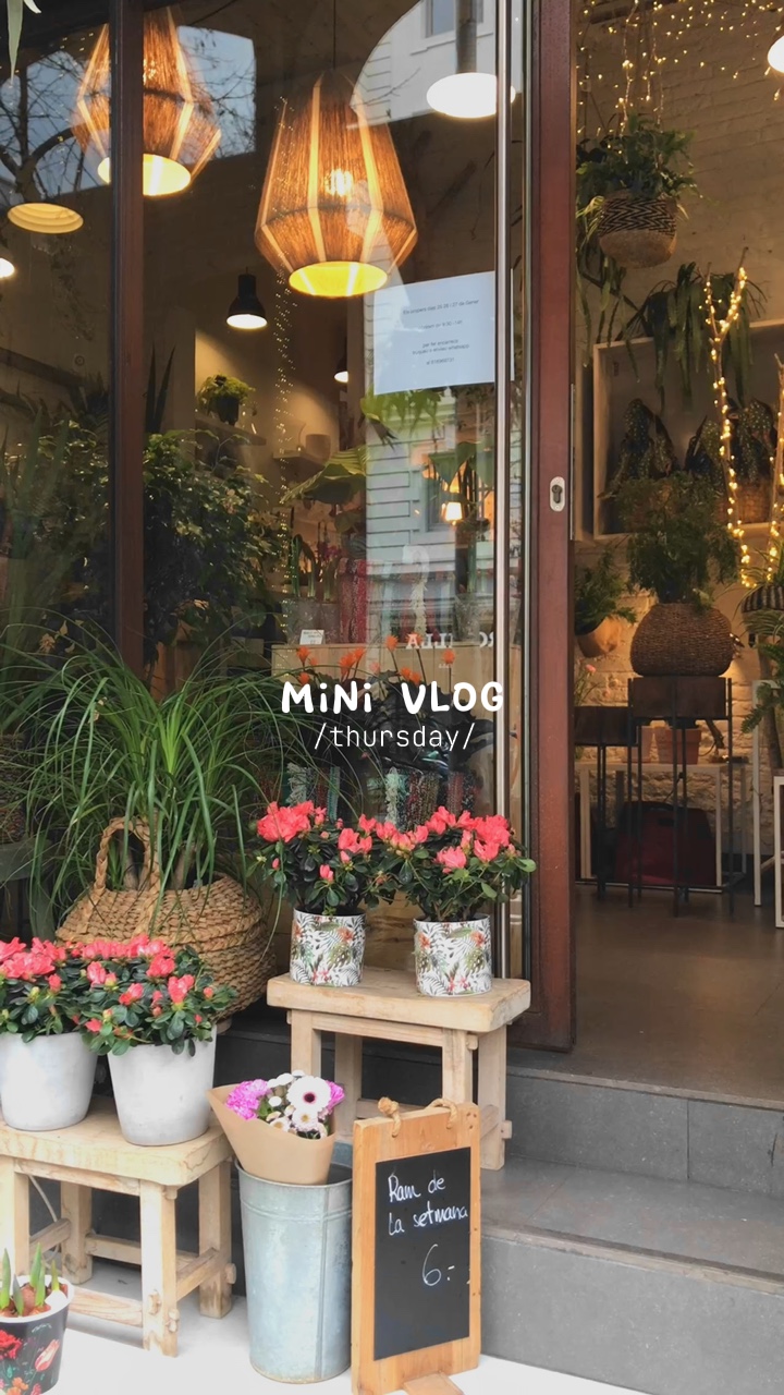 Mini Vlog