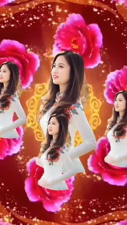 Hoa hồng xoay