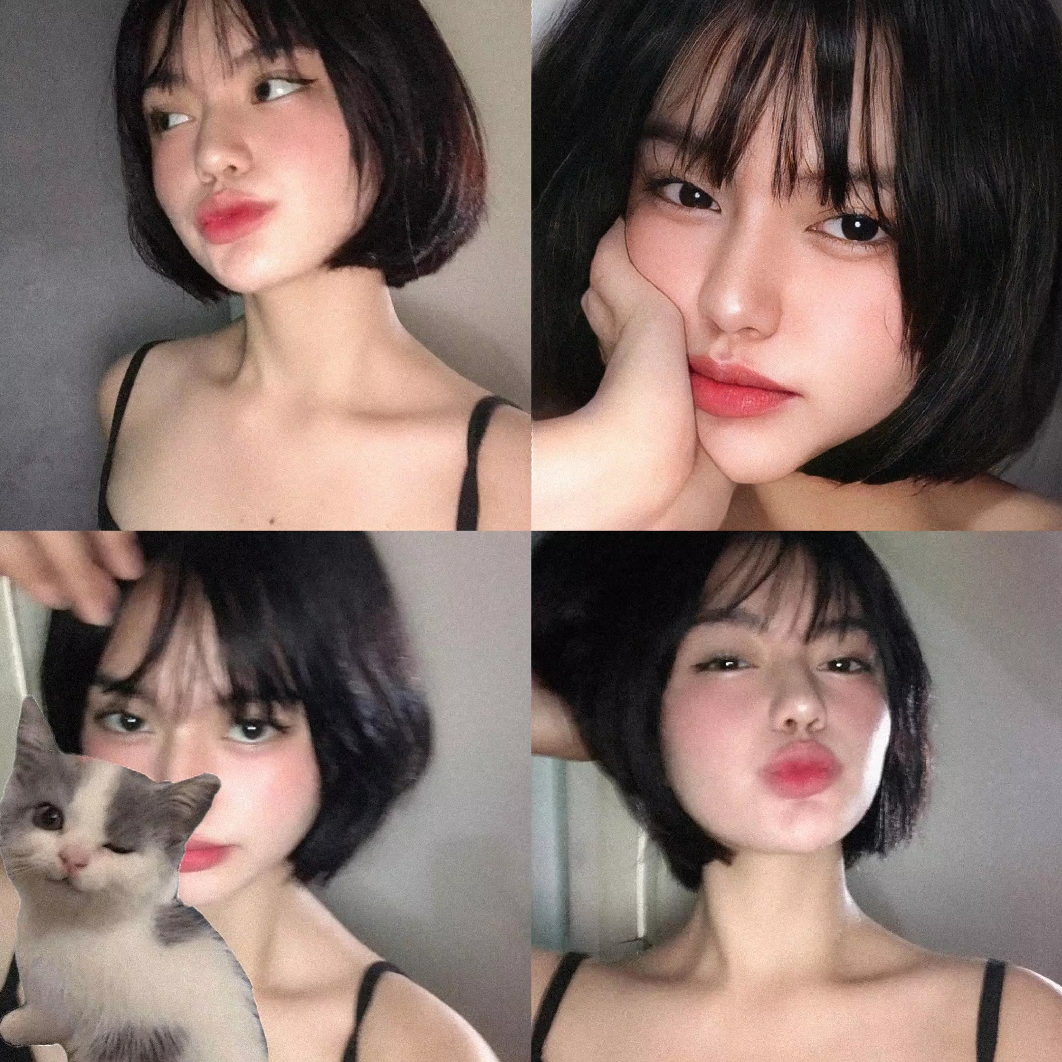 4 pics winky cat