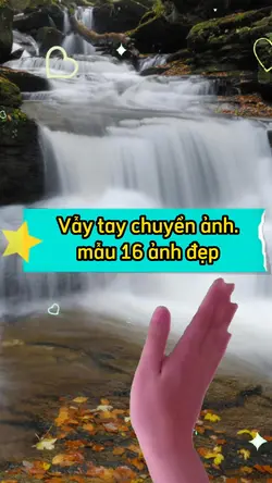 Mẫu vẫy tay chuyển