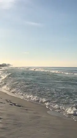2 video 5 pictures 