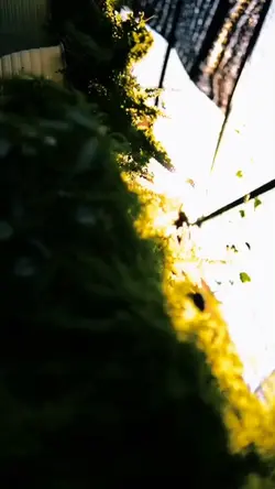 Cinematic