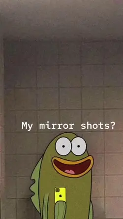 Mirror Shots 