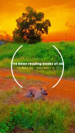 đẹp quá điiiiiii...