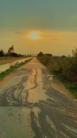 Mẫu video