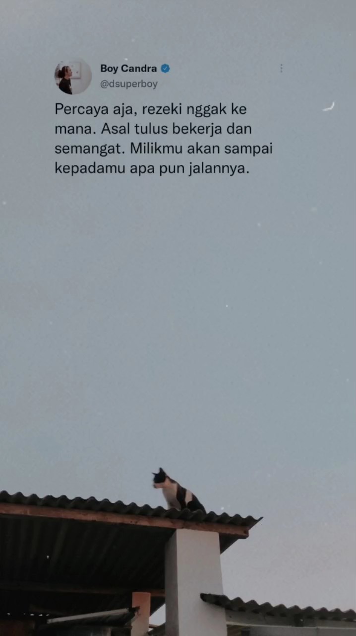 Tweet Story