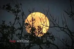 #StayWithMe