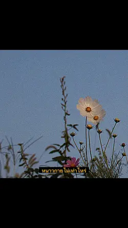 หนาวกายไม่เท่าไหร่🌼✨