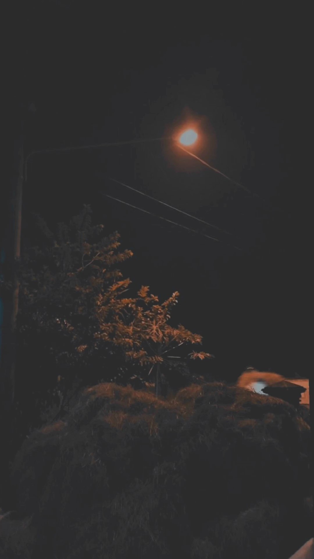 malam=damai