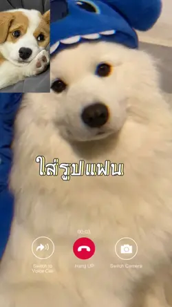 2รูปหรือวิดีโอ