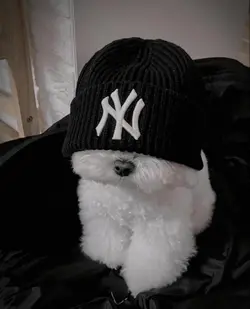 Cute Puppies 