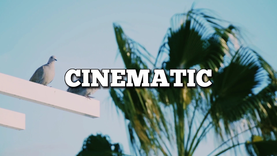 MODÈLE CINÉMATIQUE 