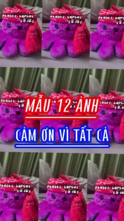 BEAT 12 ẢNH