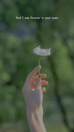 Dandelions