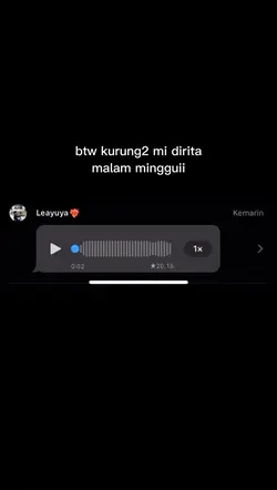 vn bucin